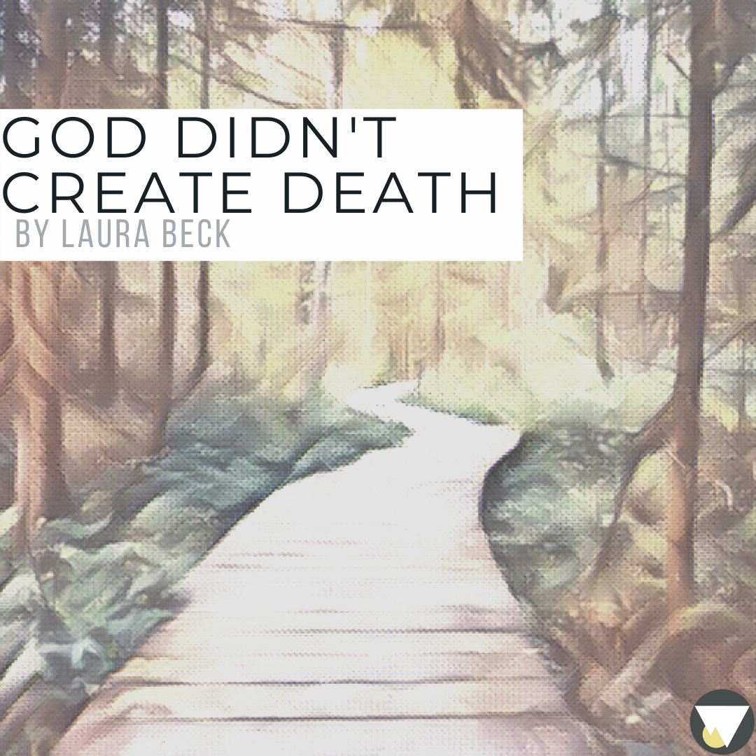 God Didn’t Create Death