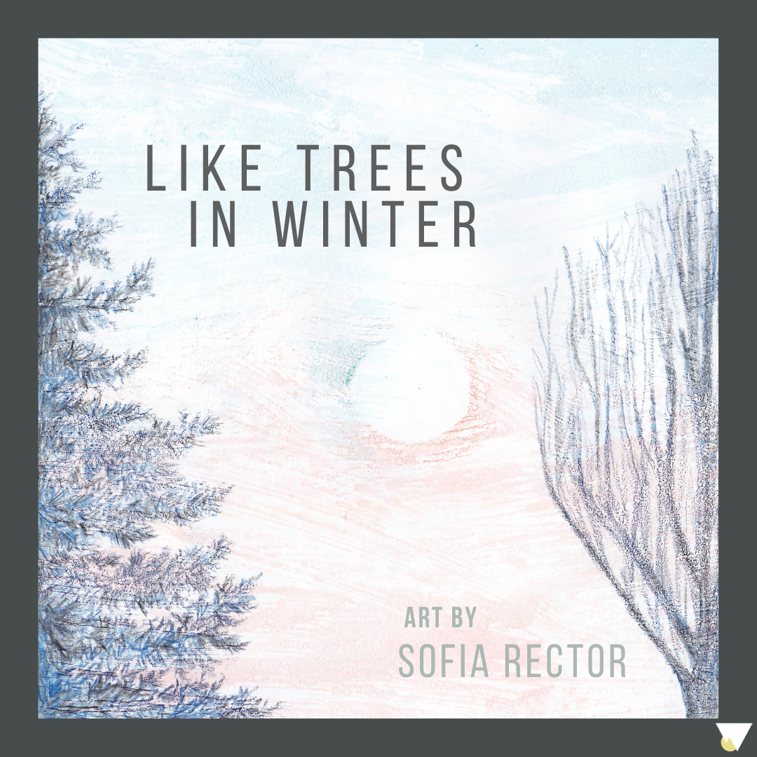 Like Trees in Winter