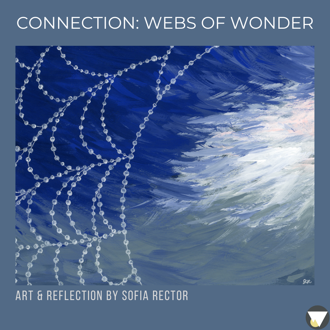 Connection: Webs of Wonder