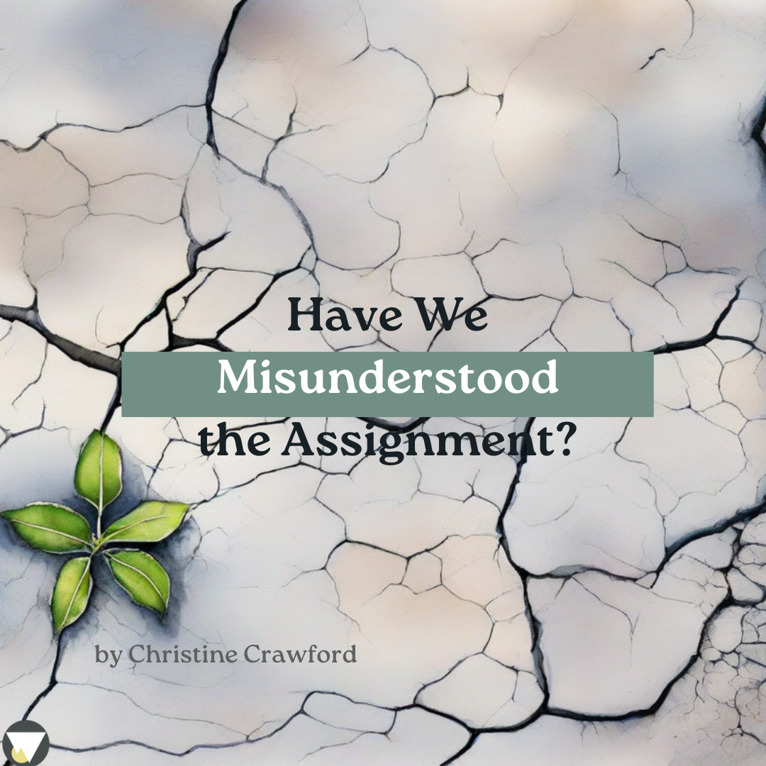 Have We Misunderstood the Assignment?